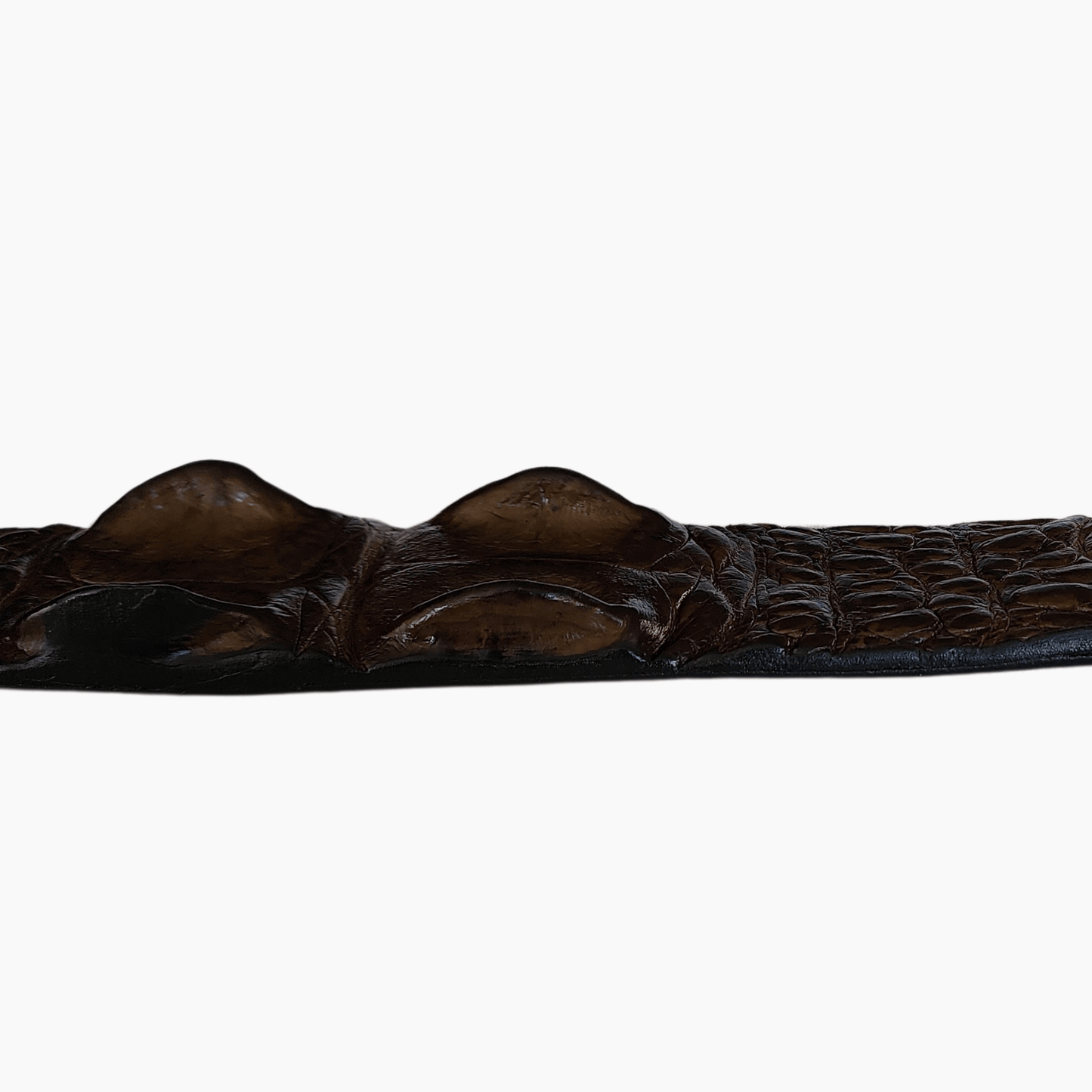 close up of hornback ridges on leather belt