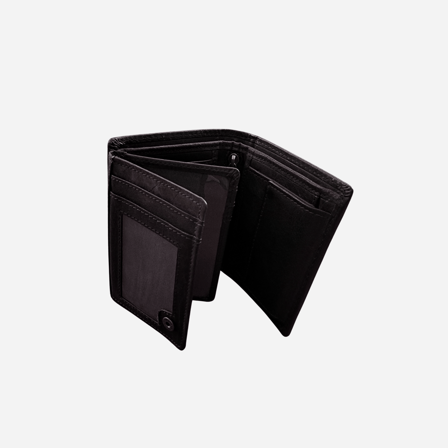 Brandy | Tri Fold | Scott